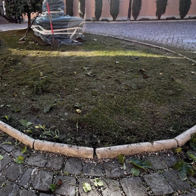 redimensionat+decupata=aiole