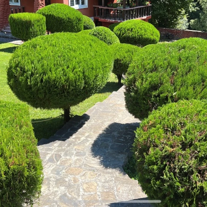 toaletari4